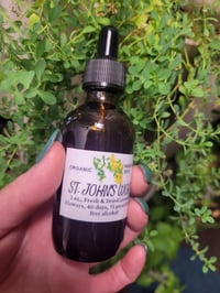 Image 1 of St. Johns Wort Tincture 