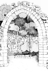 Image 1 of Tresco Abbey Gardens Pen&Ink Print