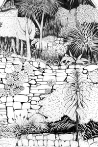 Image 2 of Tresco Abbey Gardens Pen&Ink Print