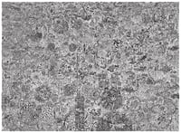 Image 1 of Oceanic Metropolis