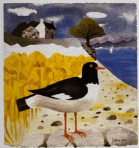 Image 3 of Bird book by Mary Fedden