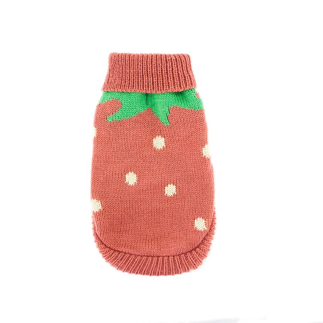 Strawberry Knit Pet Sweater 🍓 