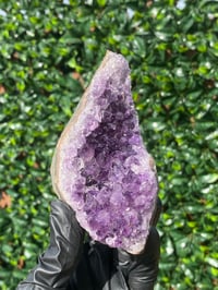 Image 4 of Amethyst Cluster  Grade AA - Brazil 