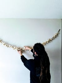 Image 1 of Vertebrae Garland   (10' feet)