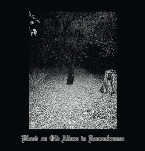 Image of Sanguine Relic - Blood On Old Altars In Remembrance LP (Grey Vinyl)