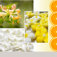 Image 2 of Honeysuckle 