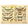Vintage Print Schmetterlinge Hanging Canvas Tapestry