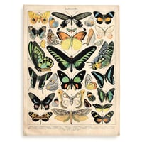 Image 1 of Vintage Print Papillons Hanging Canvas Tapestry