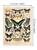 Vintage Print Papillons Hanging Canvas Tapestry