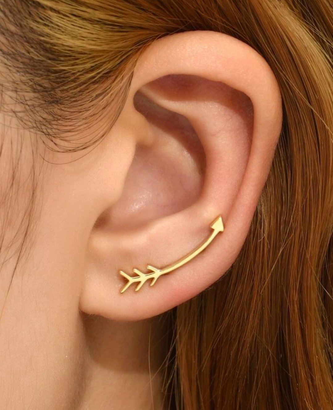 Image of Arrow Ear Crawlers 
