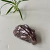Bronze oyster