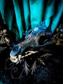 Teal Blue Quartz & Carborundum - Coyote Skull 