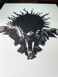 Image 2 of Vulture
