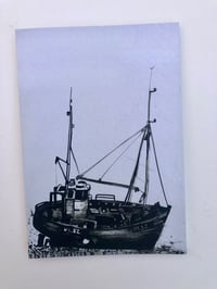 Image 1 of Harvest Lilly ( black and white)  Greetings Card