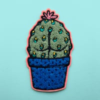 SUGGESTIVE SUCCULENT Chenille Iron-On Patch!
