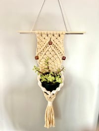 Sunshine - Macrame Plant Hanger