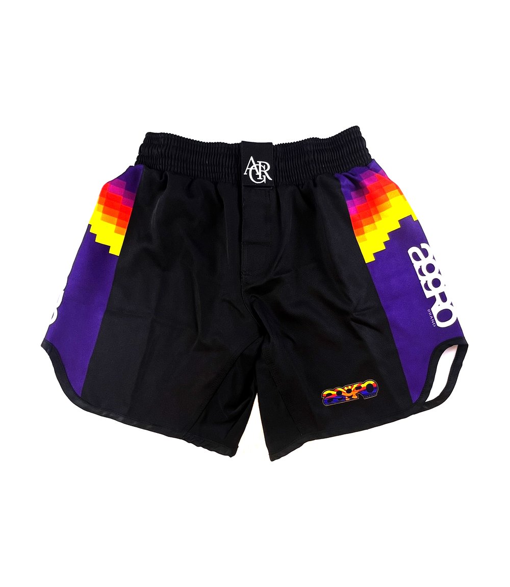 Image of AGGRO BRAND "VALLEY" NOGI SHORTS
