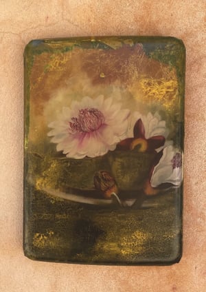 Image of Thousand Petaled Lotus