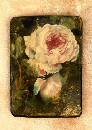 Image of Rose of Damask