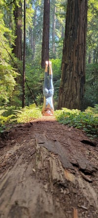 Private Yoga Session