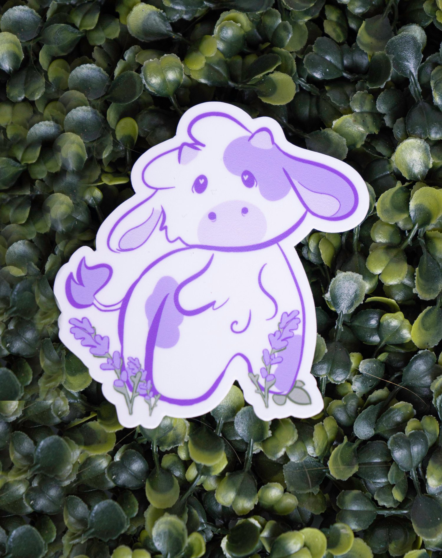 Image of Lavender Cow Sticker.
