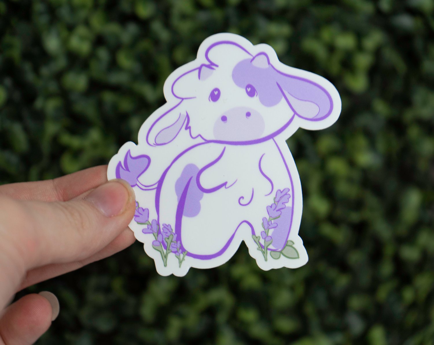 Image of Lavender Cow Sticker.
