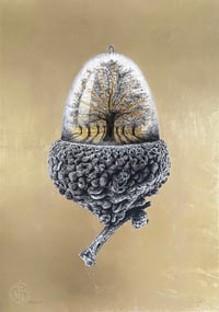 Image 5 of All In A Nutshell