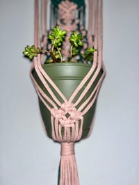 Image 2 of Secret Garden - Macrame Plant Hanger