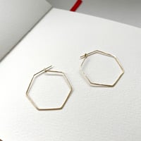 Image 1 of Honeycomb earrings