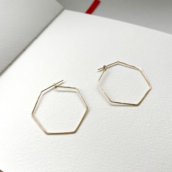 Image of Honeycomb earrings