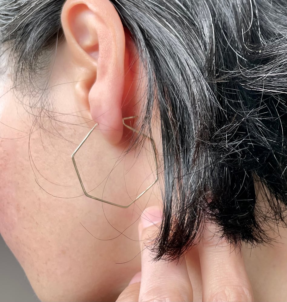 Image of Honeycomb earrings
