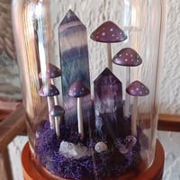 Image 2 of Fluorite Crystal Terrarium 