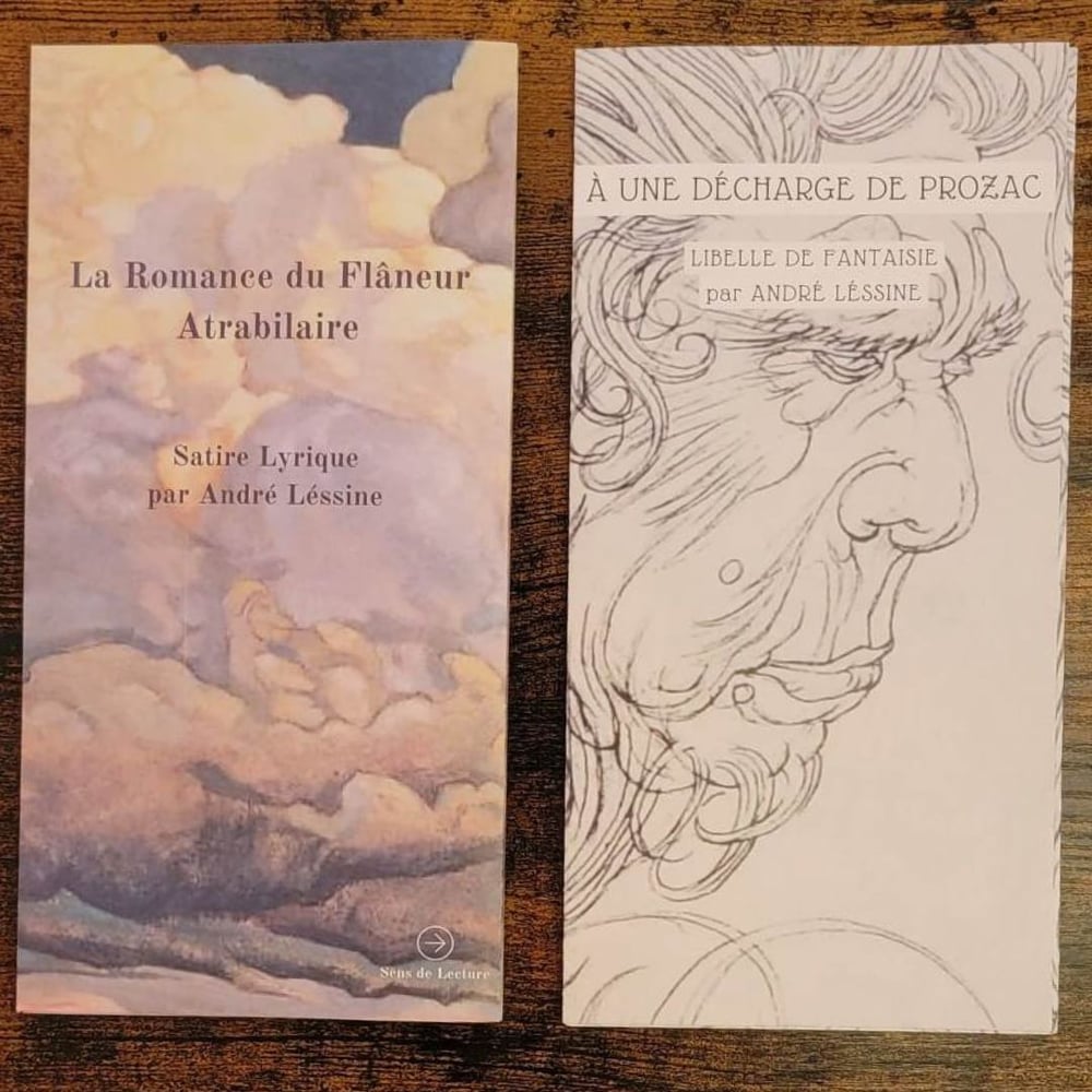 Image of "La Romance du Flâneur Atrabilaire" + "À Une Décharge de Prozac" (André Léssine)