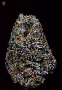 Image 3 of Manchego