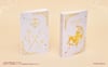 Preorder - Sailor Moon Fan Club Newsletter Clear File Folder (Cosmic Heart)