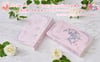 Preorder - Sailor Moon Fan Club Newsletter Clear File Folder (Crystal Star)