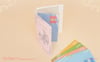 Preorder - Sailor Moon Fan Club Newsletter Clear File Folder (Crystal Star)