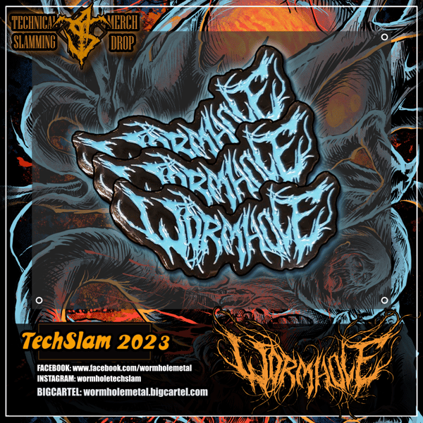 Image of Wormhole Logo Pin