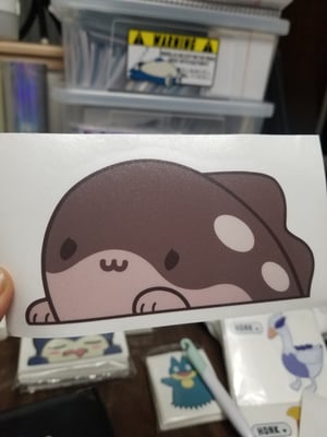 Image of Clodsire Peeker