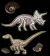 Dinosaur Fossils! Patches