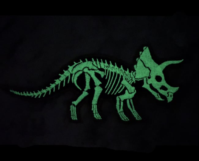 Dinosaur Fossils! Patches