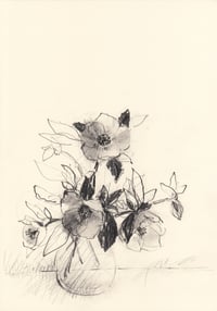 Hellebores no. 3