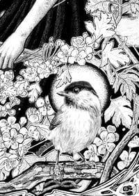 Image 4 of Anchoress 