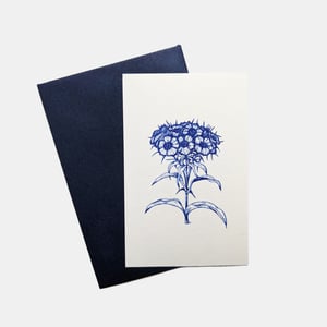 Mini carte : Oeillet, Chrysanthème, Iris, Magnolia, Mimosa Pudica