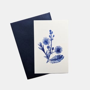 Mini carte : Oeillet, Chrysanthème, Iris, Magnolia, Mimosa Pudica