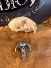 Rattlebear with Skull & Downturned horns