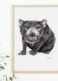 Image 3 of 'Terry' the Tassie Devil Fine Art Print