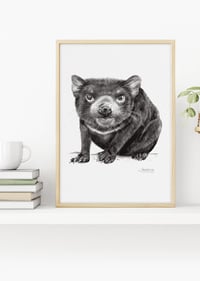 Image 4 of 'Terry' the Tassie Devil Fine Art Print