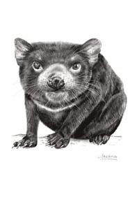 Image 1 of 'Terry' the Tassie Devil Fine Art Print