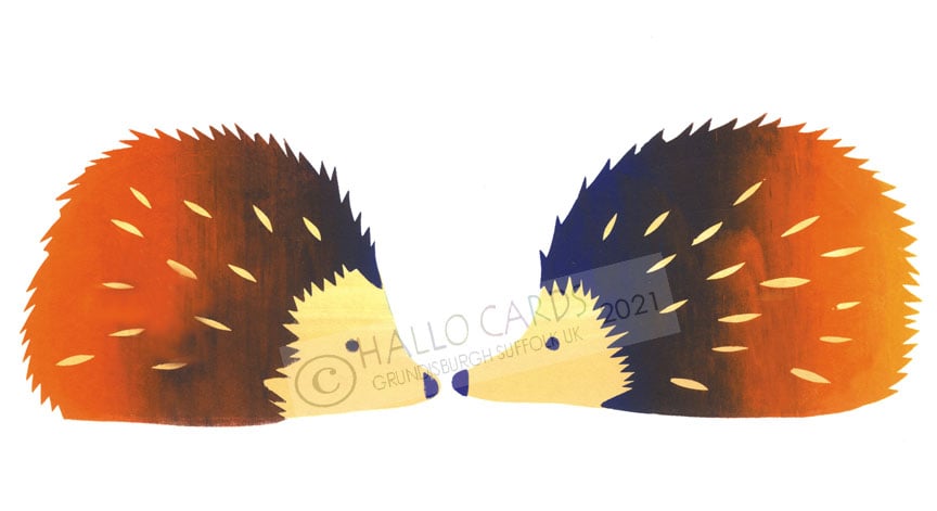 Image of Hedgehogs-HL007